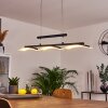 Bolonda Pendant Light LED black, 3-light sources
