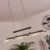 Bolonda Pendant Light LED black, 3-light sources