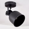 Juliboy Ceiling Light black, 1-light source