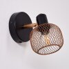 Pipisu Wall Light gold, brass, black, 1-light source