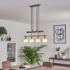 Warga Pendant Light LED matt nickel, 4-light sources