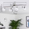 Warga Ceiling Light LED matt nickel, 4-light sources
