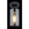 Globo HADERA Ceiling Light black, 1-light source