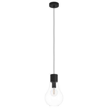 Eglo CHASELY Pendant Light black, 1-light source