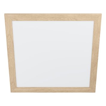 Eglo PIGLIONASSO Ceiling Light LED white, 1-light source