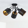 Bathinda Ceiling Light black, 3-light sources
