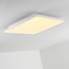 Bankura Ceiling Light LED white, 1-light source, Remote control