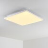 Bankura Ceiling Light LED white, 1-light source, Remote control