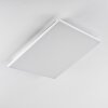 Bankura Ceiling Light LED white, 1-light source, Remote control