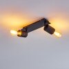 Ajaccio Ceiling Light black, 2-light sources