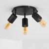 Ajaccio Ceiling Light black, 3-light sources