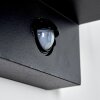 Palanga Outdoor Wall Light black, 1-light source, Motion sensor