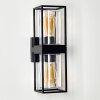 Palanga Outdoor Wall Light black, 2-light sources