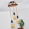 Garland Ceiling Light Dark wood, black, 3-light sources