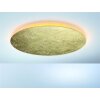 Escale BLADE Ceiling Light LED gold, 1-light source