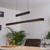 Inicio Pendant Light LED black, 3-light sources