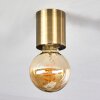 Ravu Ceiling Light brass, 1-light source