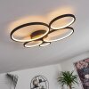 Rodekro Ceiling Light black, 1-light source
