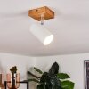 Zuoz Ceiling Light Light wood, 1-light source