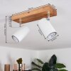 Zuoz Ceiling Light Light wood, 2-light sources