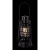 Globo CERTALDO decor LED black, 1-light source