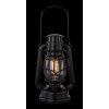 Globo CERTALDO decor LED black, 1-light source