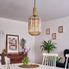 Paeni Pendant Light gold, brass, black, 1-light source