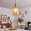 Paeni Pendant Light gold, brass, black, 1-light source
