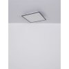 Globo DORO Ceiling Light LED grey, white, 1-light source