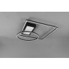 Trio Downey Ceiling Light LED black, 1-light source, Remote control