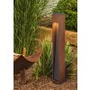 Trio Canning path light Dark wood, matt nickel, 1-light source