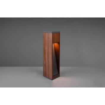 Trio Canning path light Dark wood, matt nickel, 1-light source