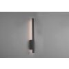 Trio Tawa Outdoor Wall Light LED anthracite, 1-light source