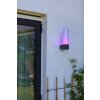 Lutec DROPA Outdoor Wall Light LED anthracite, 1-light source, Colour changer