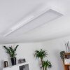 Mota Ceiling Light LED white, 1-light source, Remote control, Colour changer