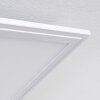 Pau Ceiling Light LED white, 1-light source