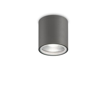 Ideallux GUN outdoor ceiling light anthracite, 1-light source