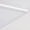 Boyero Ceiling Light LED white, 1-light source
