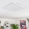Boyero Ceiling Light LED white, 1-light source
