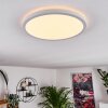 Boyero Ceiling Light LED white, 1-light source