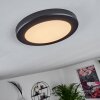 Canditas Ceiling Light LED black, 1-light source