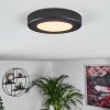 Canditas Ceiling Light LED black, 1-light source