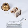 Orny Ceiling Light bronze, Light wood, 1-light source
