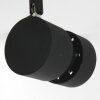 Steinhauer Natasja Ceiling Light LED black, 2-light sources