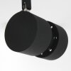 Steinhauer Natasja Ceiling Light LED black, 4-light sources