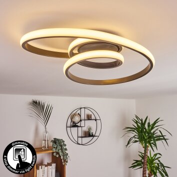 Ignal Ceiling Light LED grey, 1-light source
