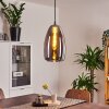 Alvares Pendant Light chrome, 1-light source