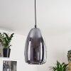 Alvares Pendant Light chrome, 1-light source