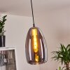 Alvares Pendant Light chrome, 1-light source