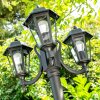 NATAL Lamp Post black, 3-light sources